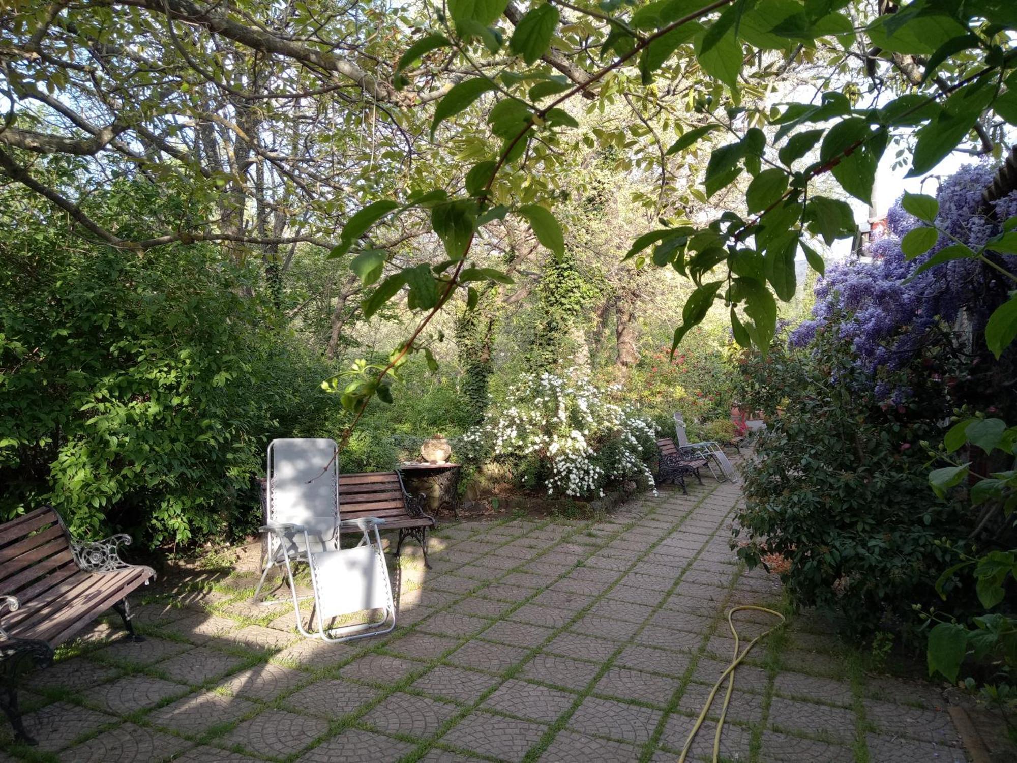 Cirasellaetna Villa Sant'Alfio Luaran gambar