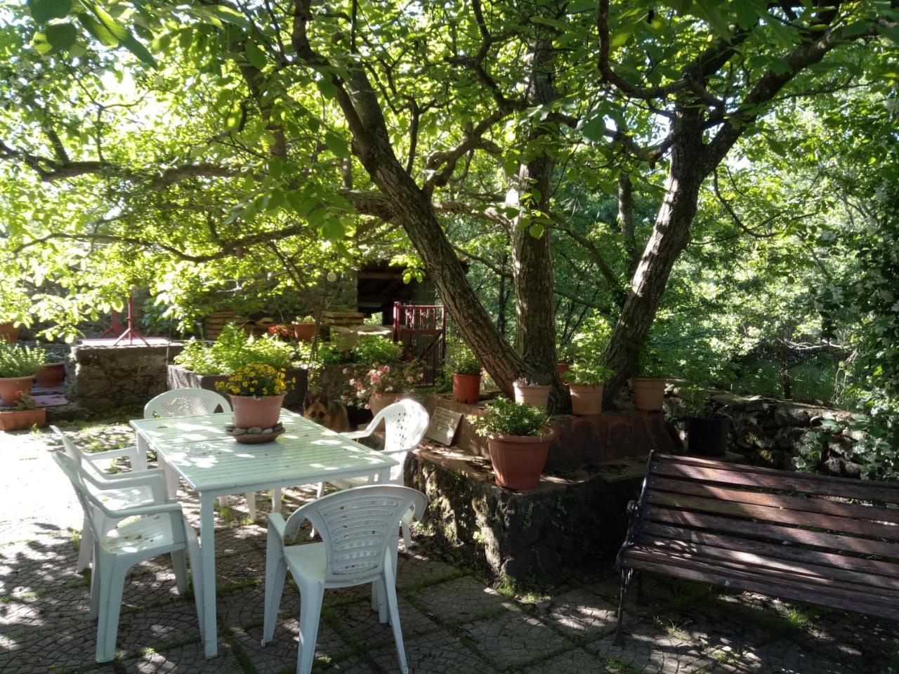 Cirasellaetna Villa Sant'Alfio Luaran gambar