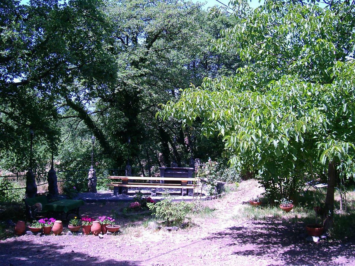 Cirasellaetna Villa Sant'Alfio Luaran gambar